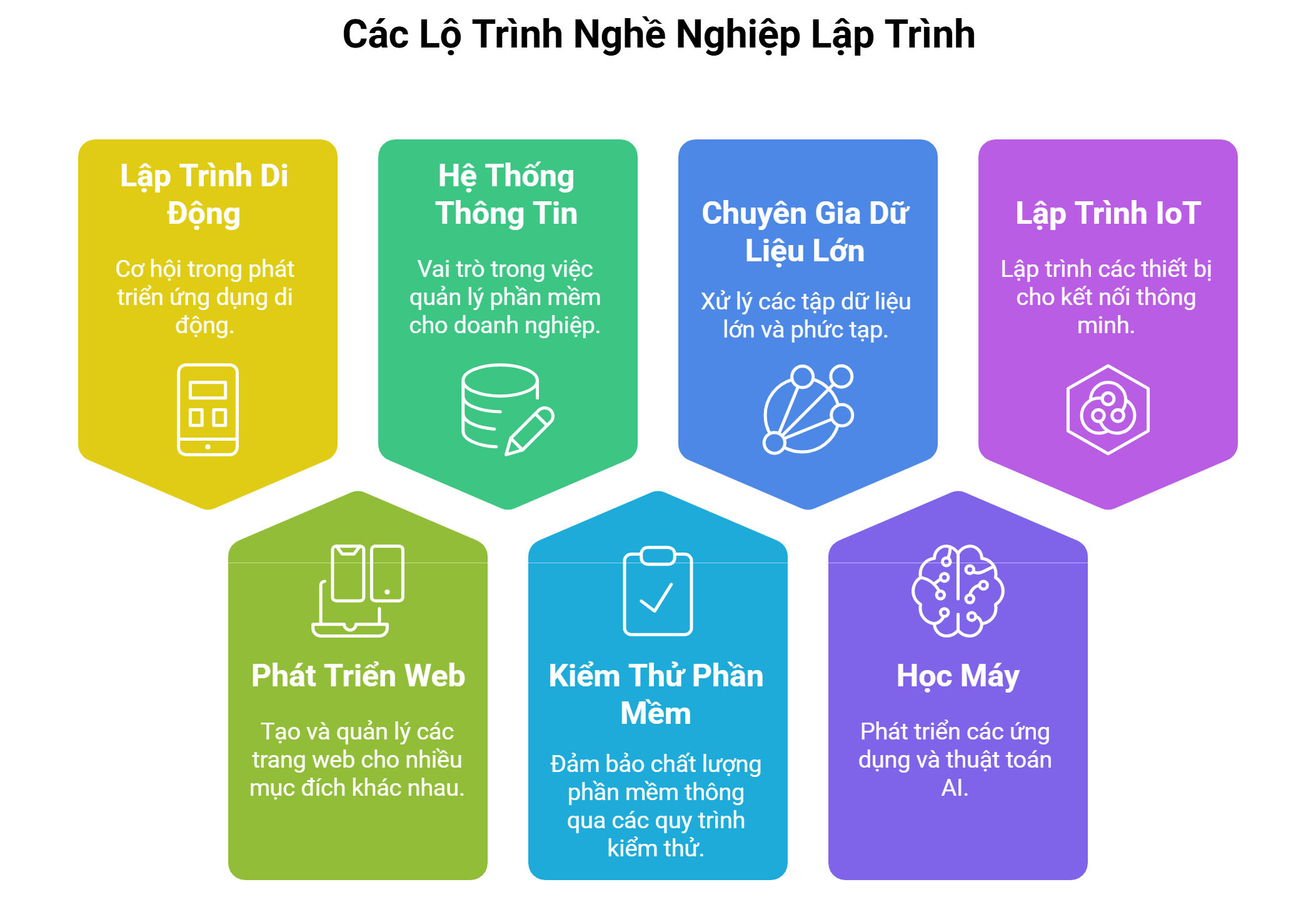 Cơ hội việc làm cho sinh viên học lập trình máy tính