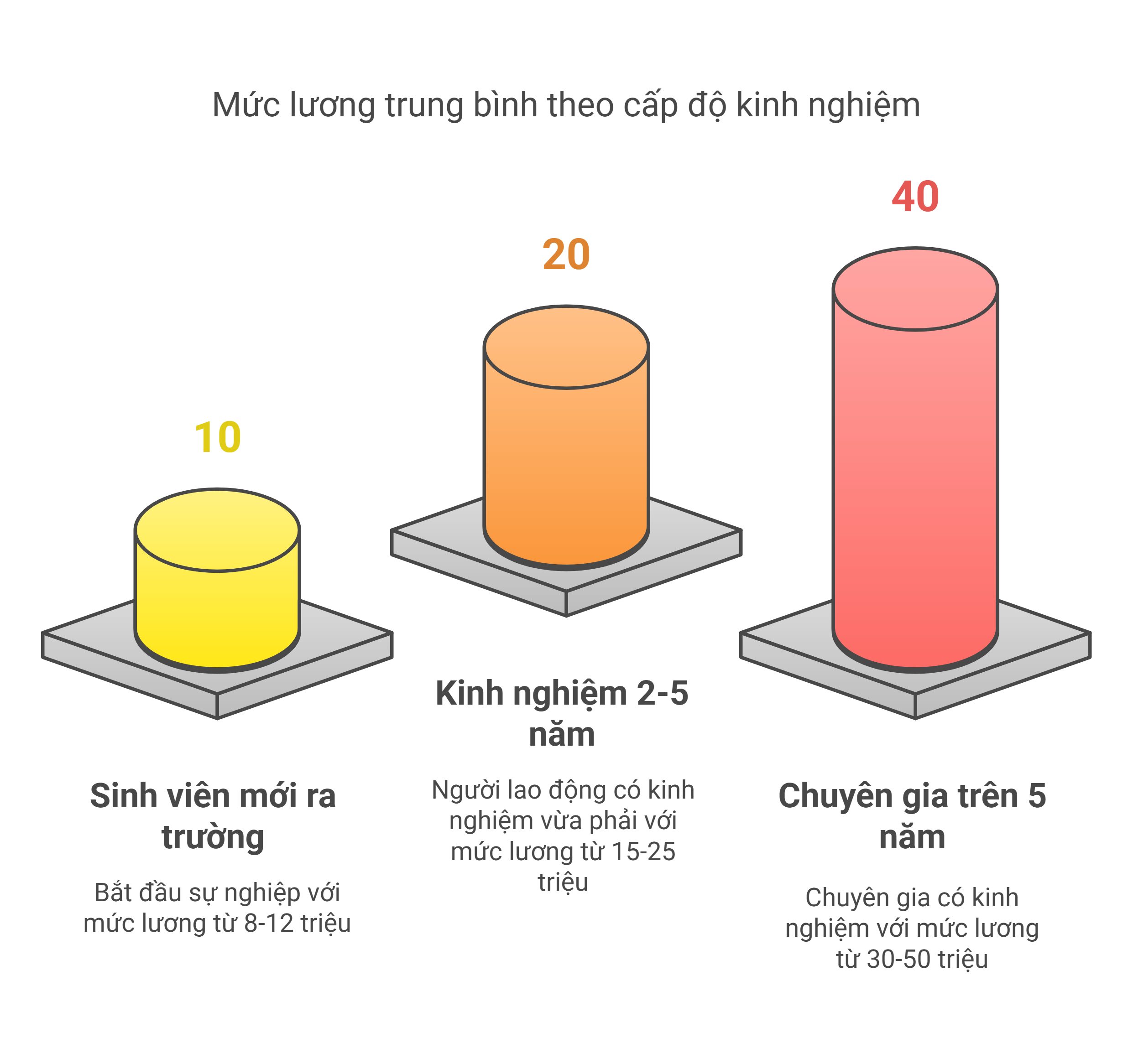 Mức lương trung bình theo cấp độ kinh nghiệm