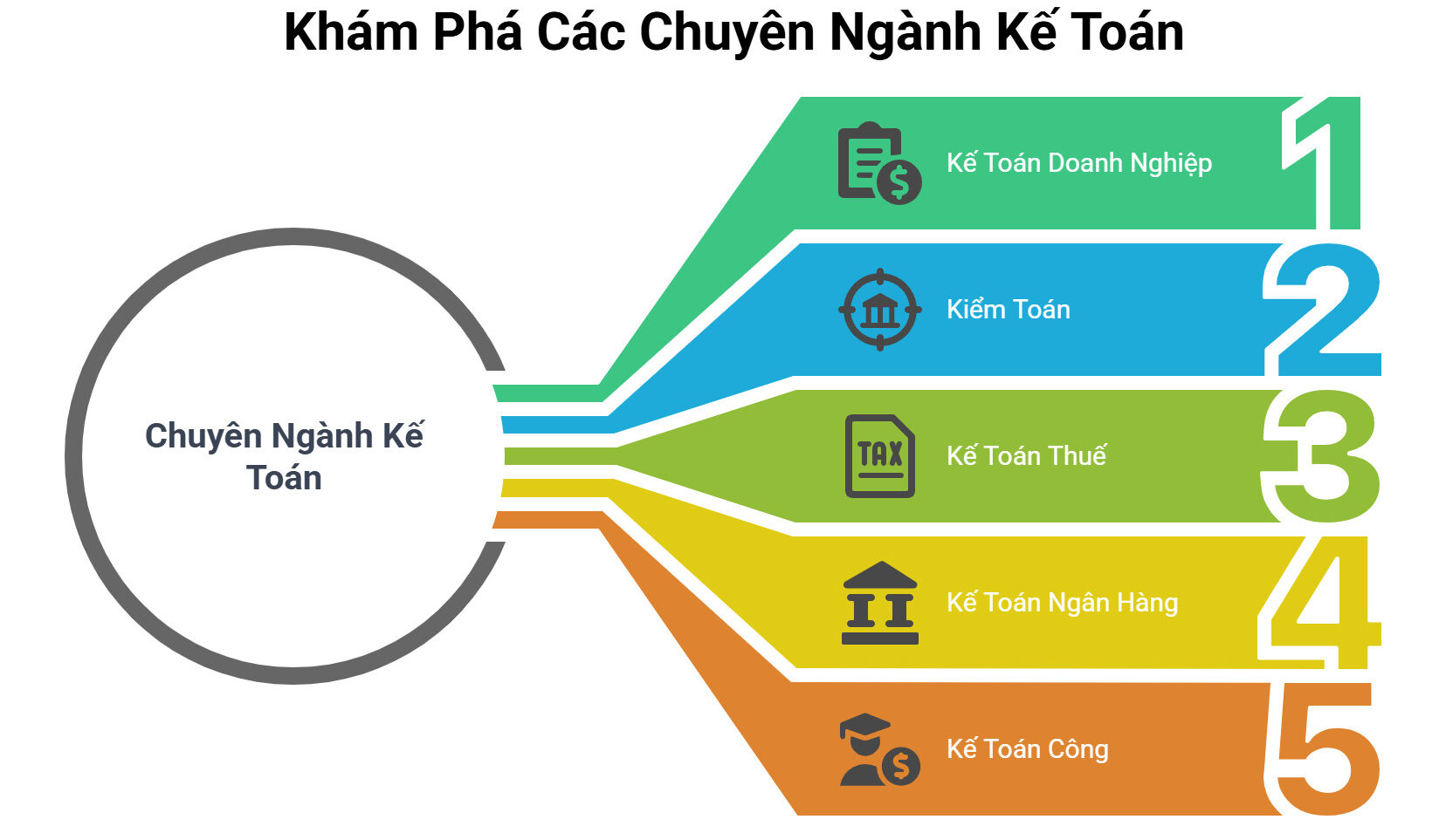 Các chuyên ngành của kế toán