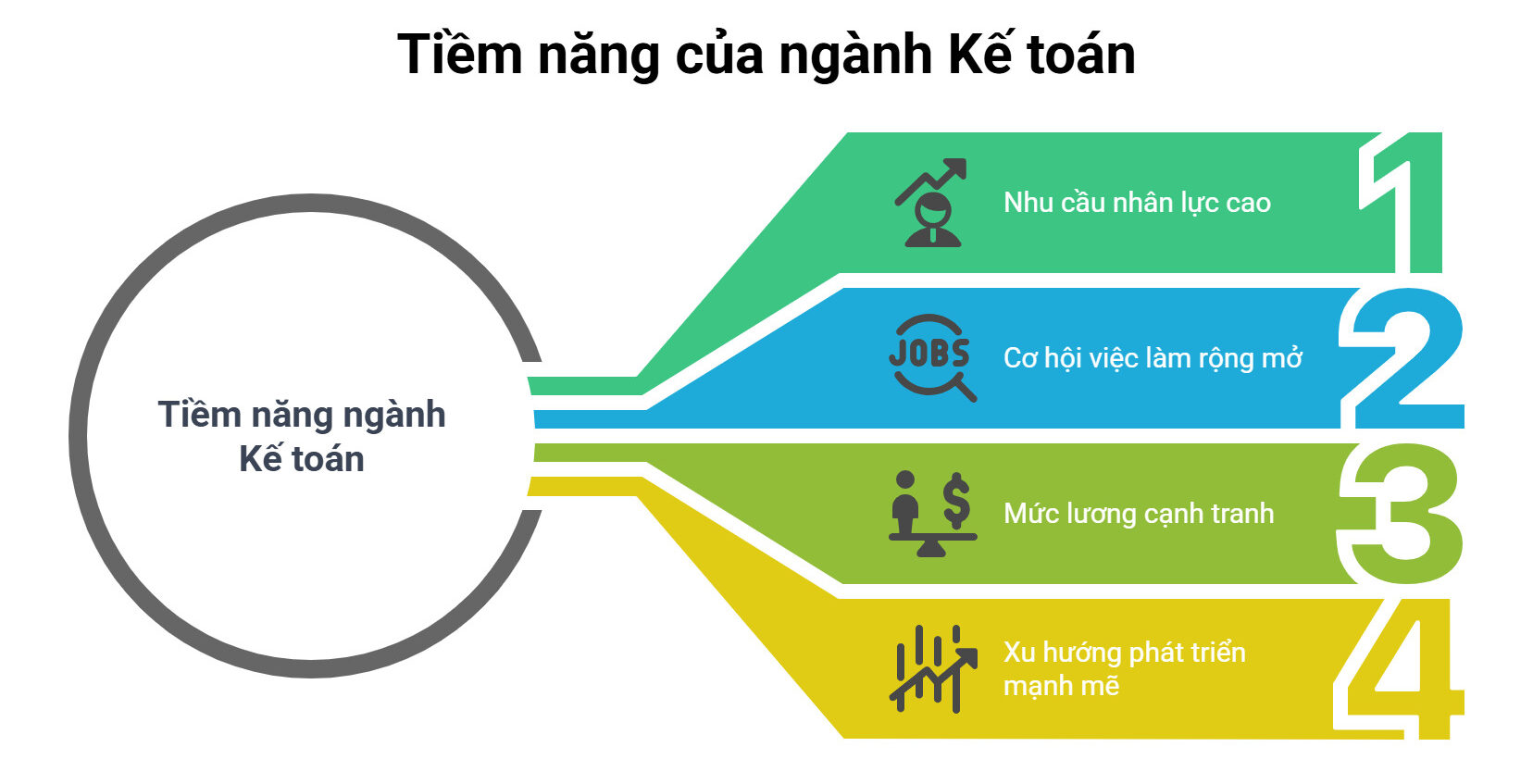 Tiềm năng của ngành Kế toán?
