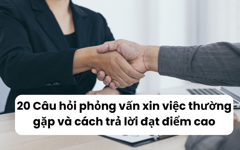 phỏng vấn, xin việc