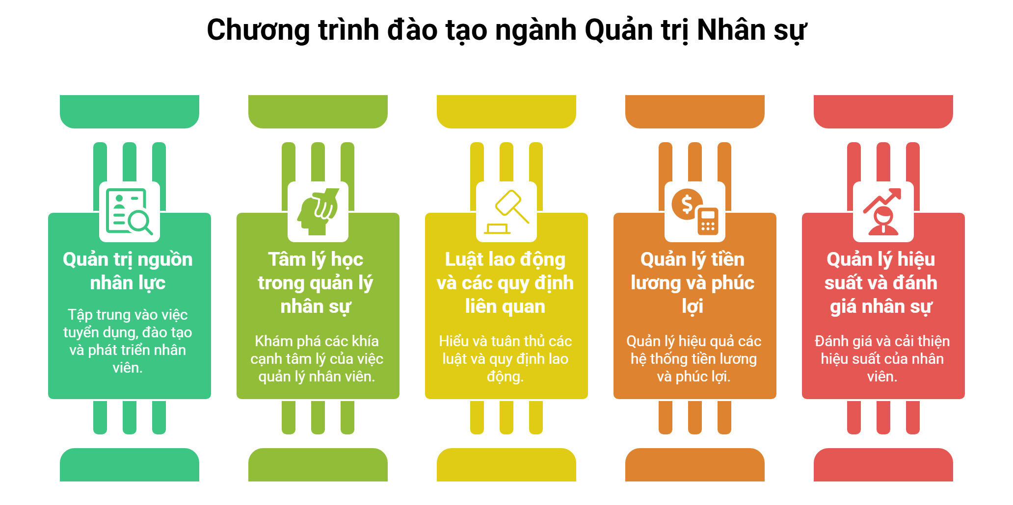 Chương trình đào tạo ngành Quản trị nhân sự