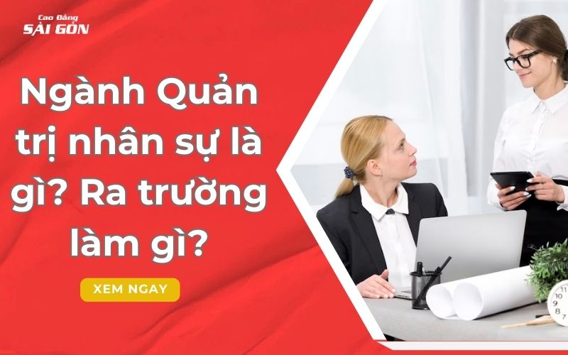 Ngành Quản trị nhân sự là gì? Ra trường làm gì?