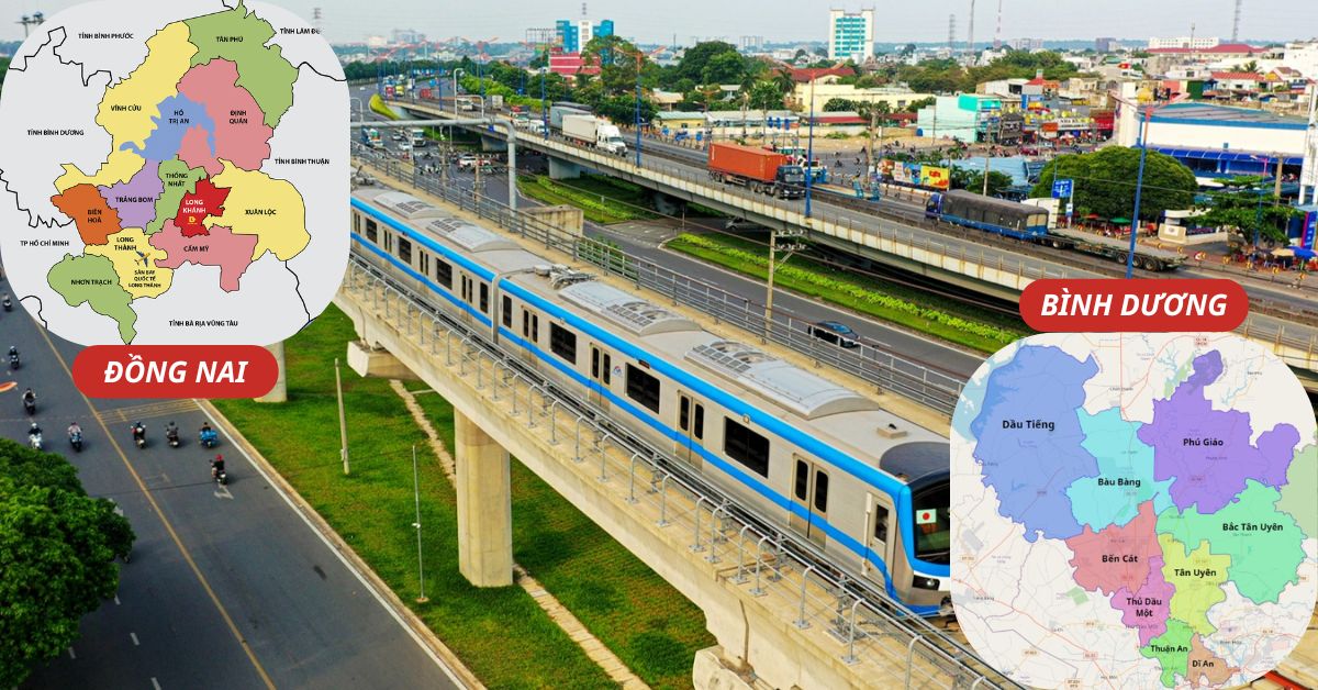 kinh doanh xuat nhap khau, metro, binh duong, dong nai