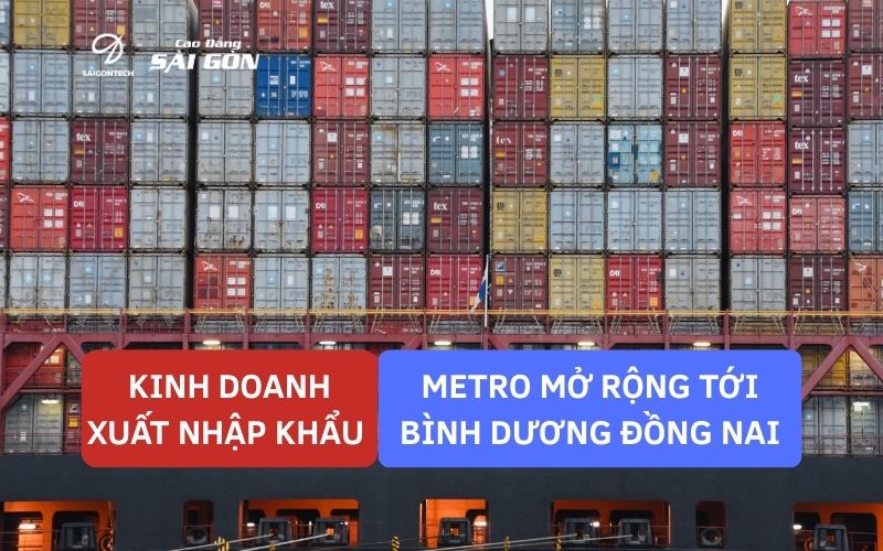 kinh doanh xuat nhap khau, metro, binh duong, dong nai