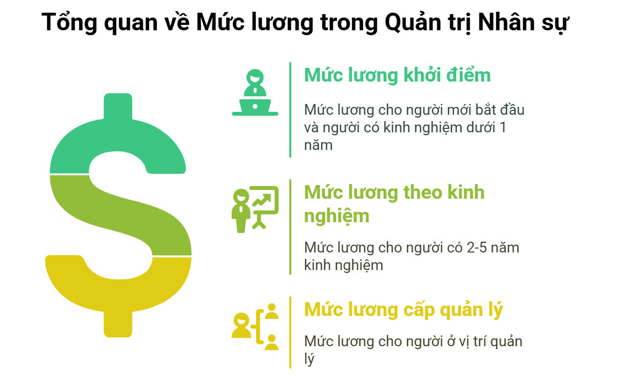 Mức lương ngành quản trị nhân sự