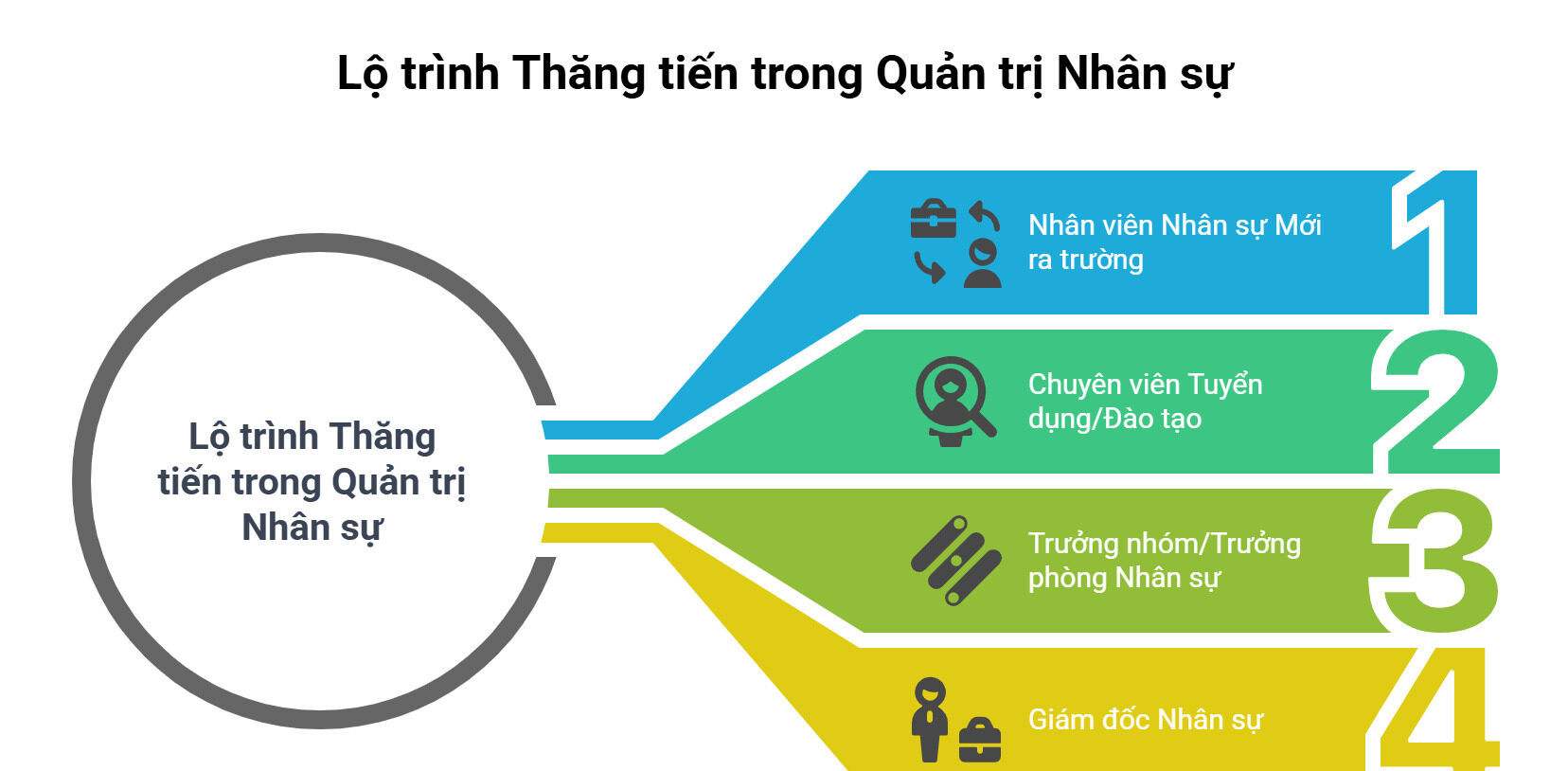 Lộ trình thăng tiến trong ngành Quản trị Nhân sự