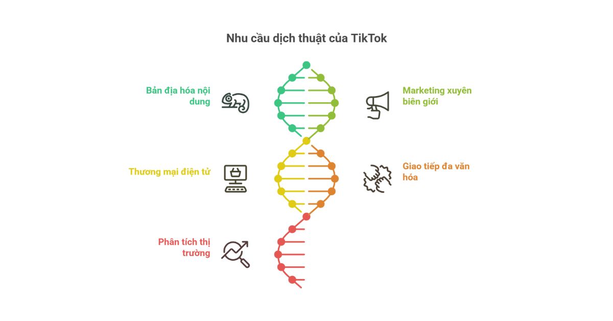 phien dich tieng anh, tiktok