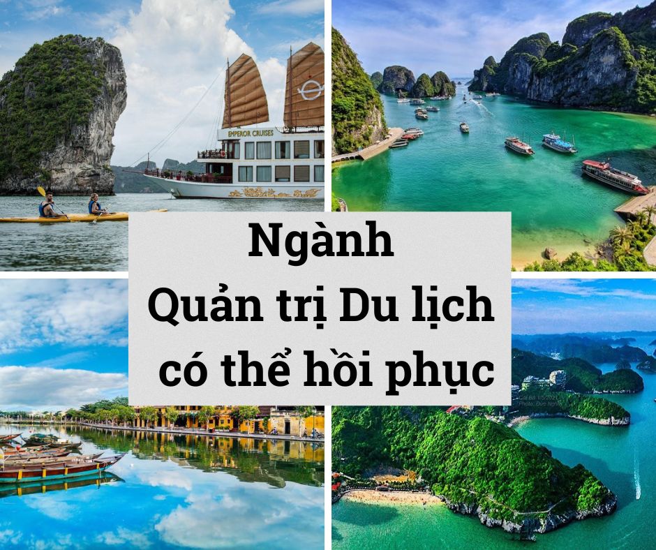 quan-tri-du-lich-1
