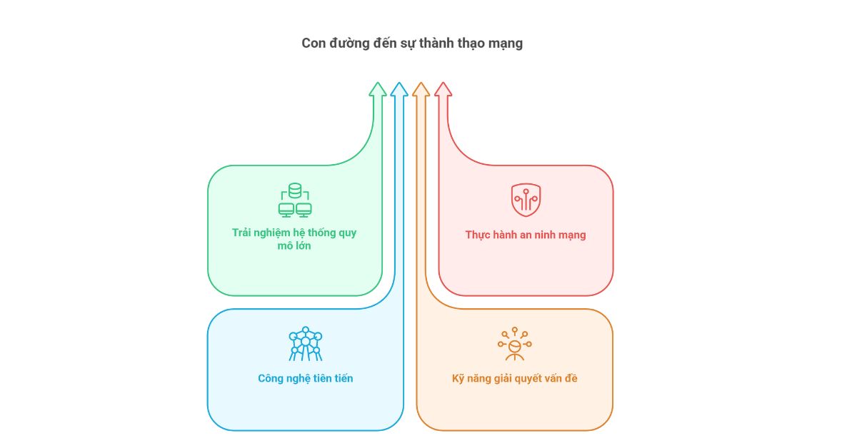 quan tri mang, metro