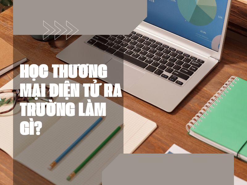 thuong-mai-dien-tu-2