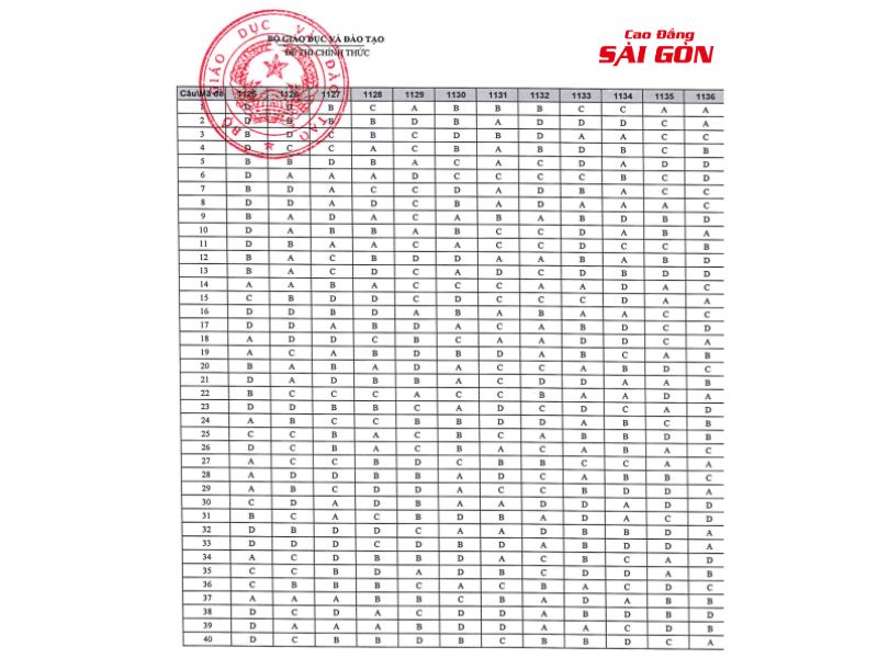 dap-an-chinh-thuc-de-thi-thpt-quoc-gia-2025-mon-anh-van